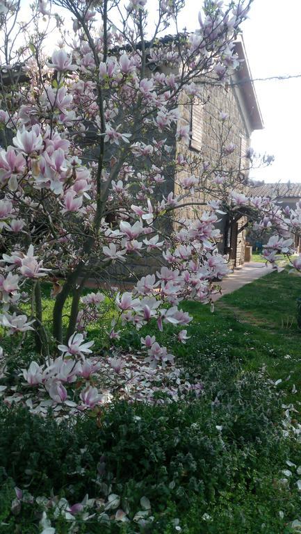 Agriturismo Solidor Pitigliano Luaran gambar