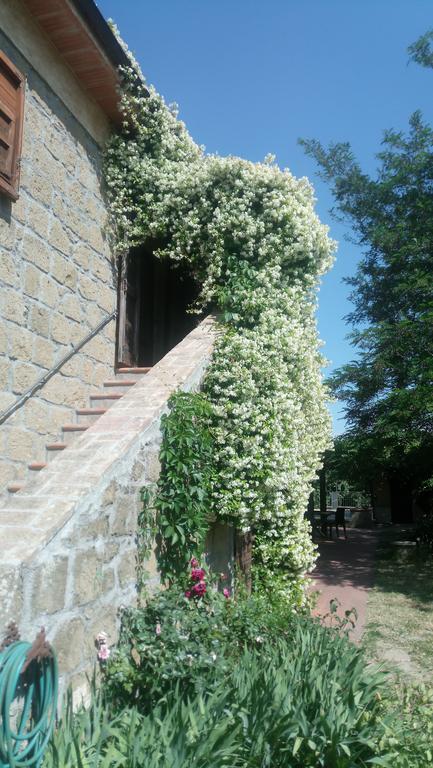Agriturismo Solidor Pitigliano Luaran gambar
