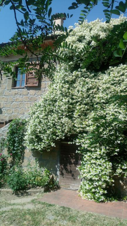 Agriturismo Solidor Pitigliano Luaran gambar